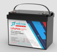 LFP 12,8-100 Smart BMS 100A  (Bluetooth 4.0)
